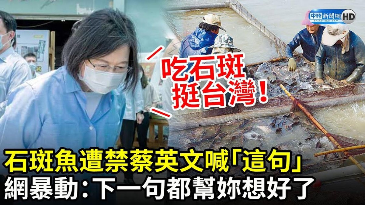 台湾名嘴谈大陆芯片战,台湾谈大陆芯片突破