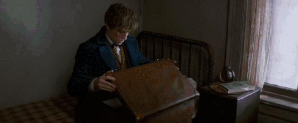 神奇动物3最新上映,神奇动物3电影评价