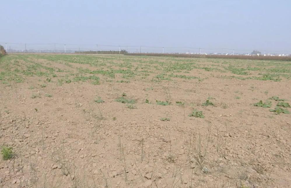 鍥涘窛鏉戞皯涓瘨,鍥涘窛鍐滄埛涓瘨