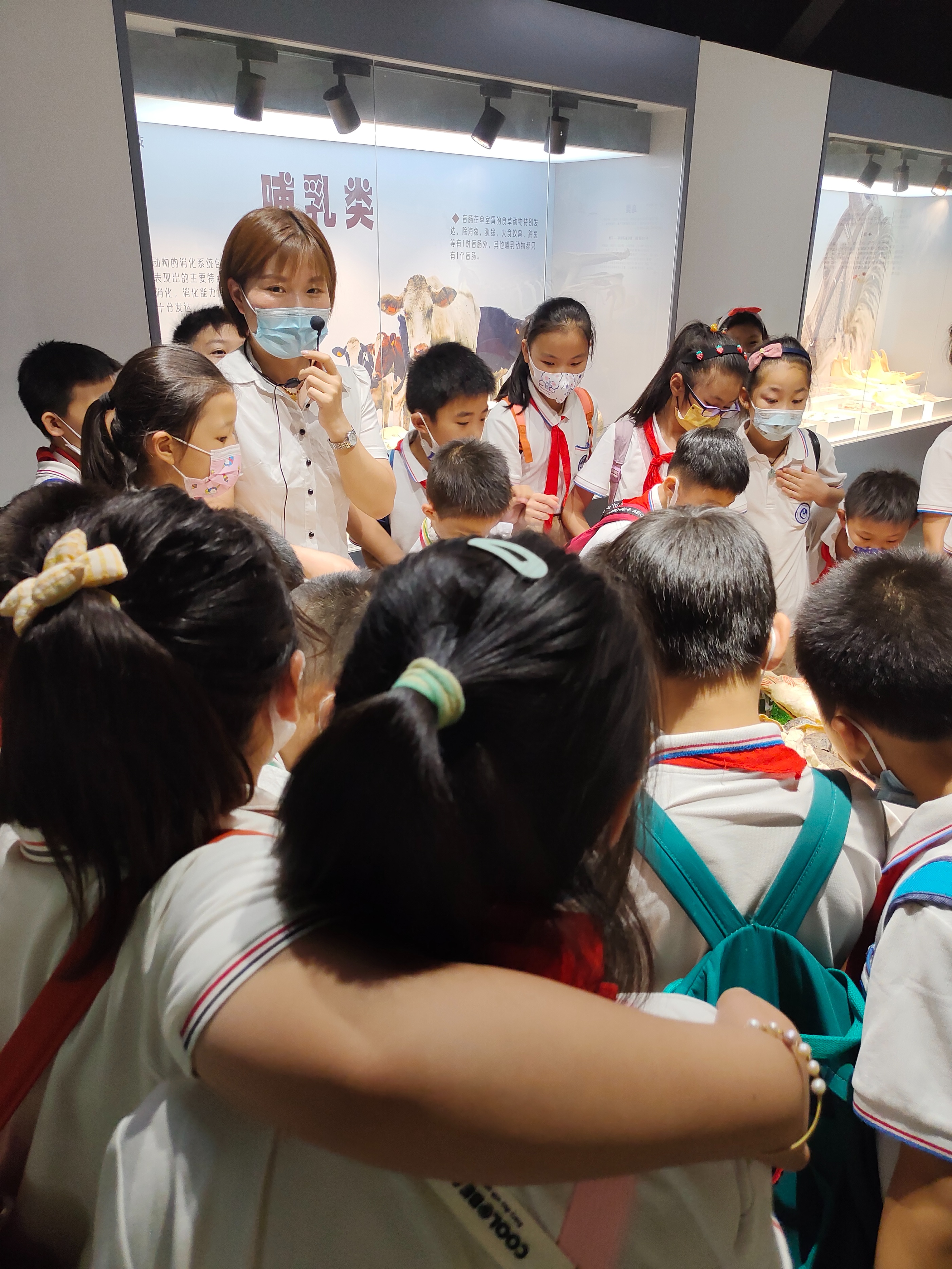 郑州植物园夏季开放时间,郑州夏季适合去哪旅游攻略