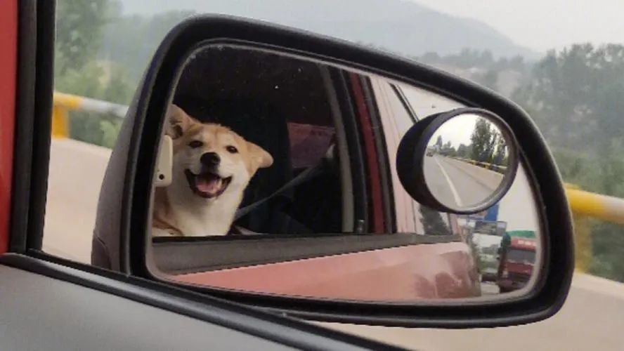 新国标开放了电子后视镜,新国标为啥不允许有后视镜