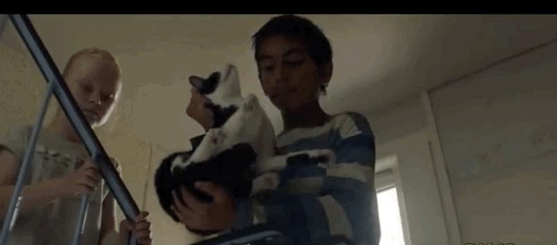 细思极恐！虐猫、杀母......这片《无辜者》拍出了小孩的恶