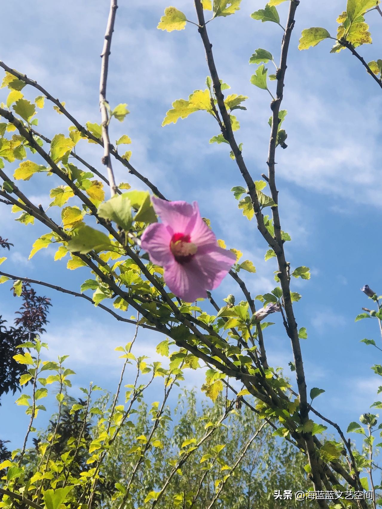 纪实小说：谁看不起你