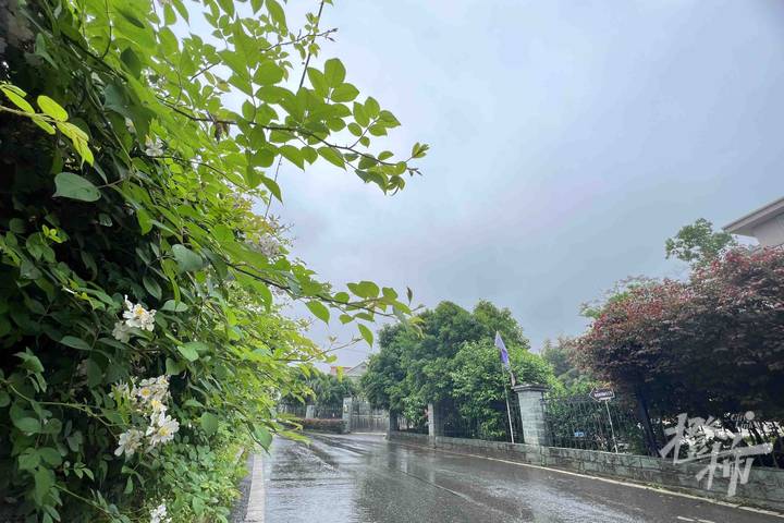 “五一”就在眼前，桂花村有点小焦虑：会有人来玩不？村里能火起来不？