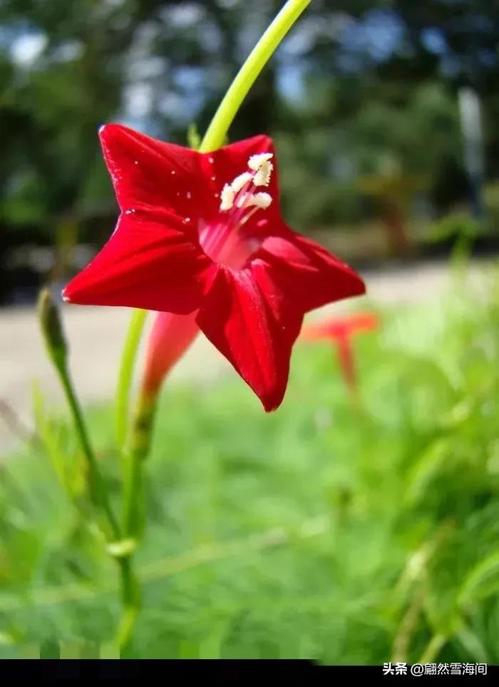 古诗词经典名句一寸光阴一寸金,一寸光阴一寸金七言绝句诗100首