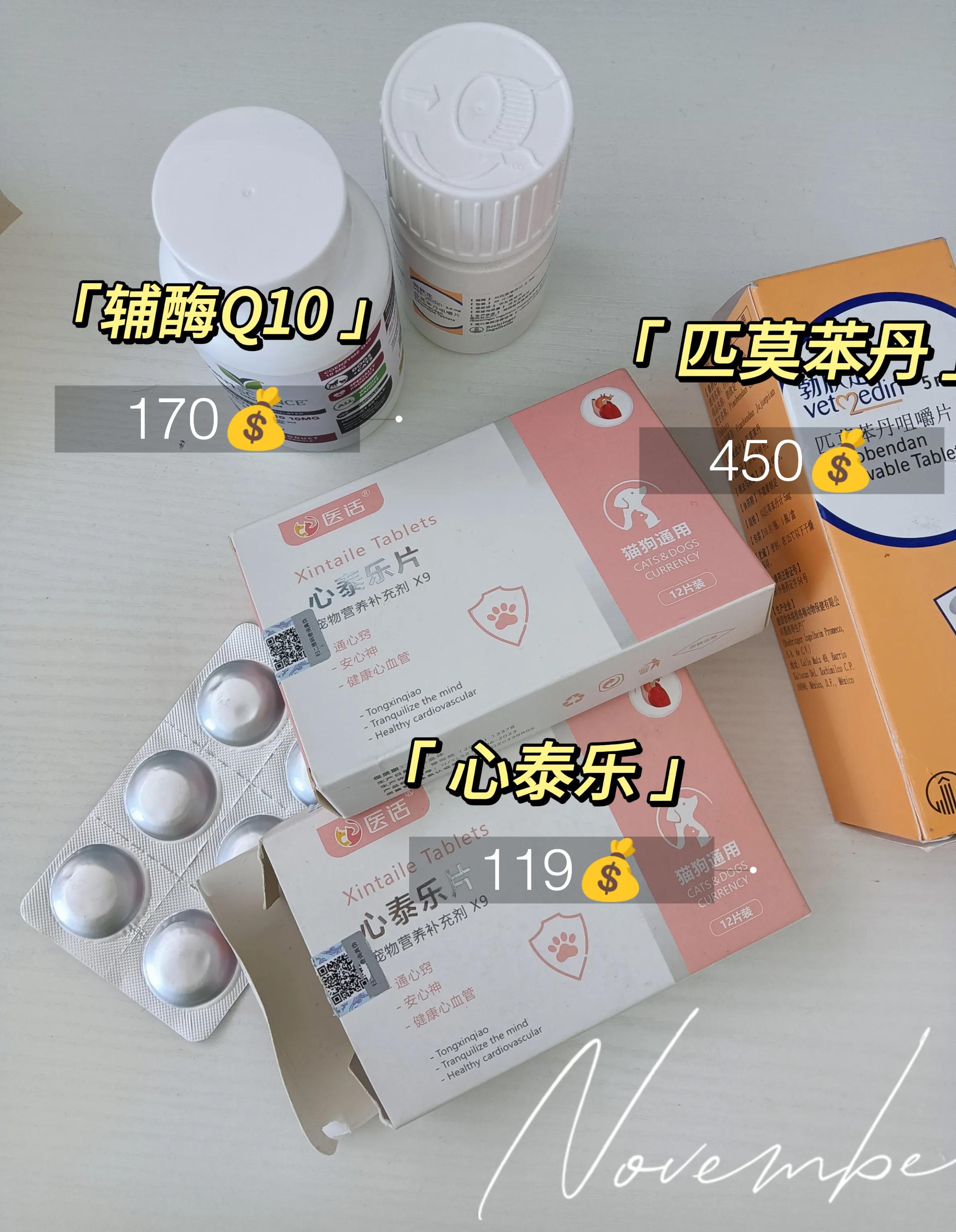 狗狗有心脏病能治好吗,狗狗得心脏病是什么原因引起的