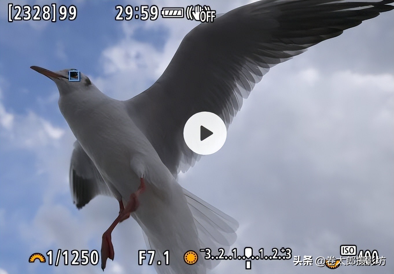 佳能单反5d2系列升级到啥了,佳能相机使用感受从550d到5d4