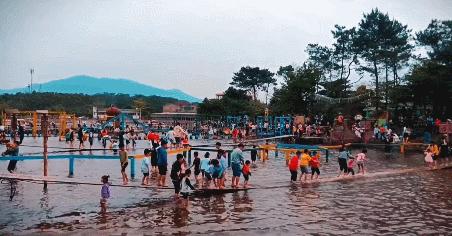 旅游年卡飞熊乐园,水上乐园年卡团购限几人