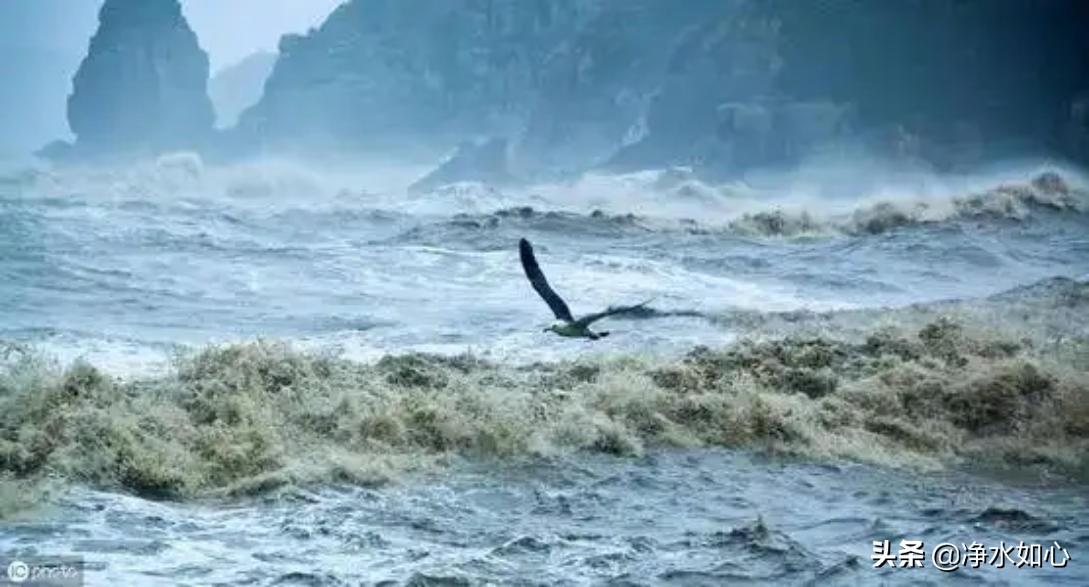 诺亚方舟到底怎么回事,史前大洪水诺亚方舟