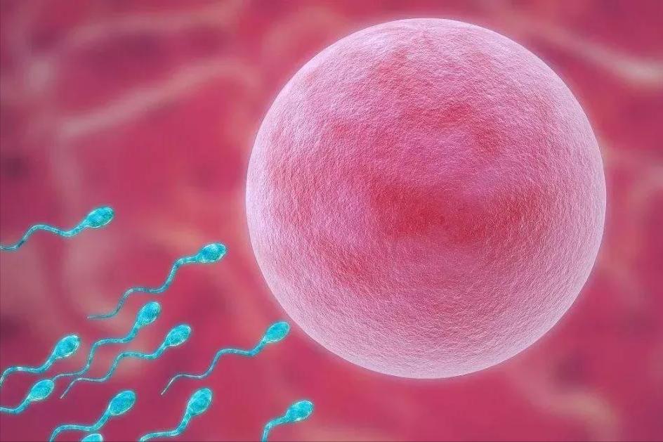 中医调理闭经最佳方法,中医治疗闭经最快方法