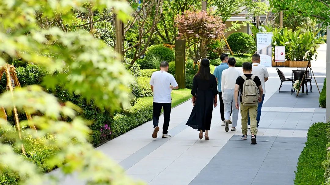 实探准现房,实探楼盘