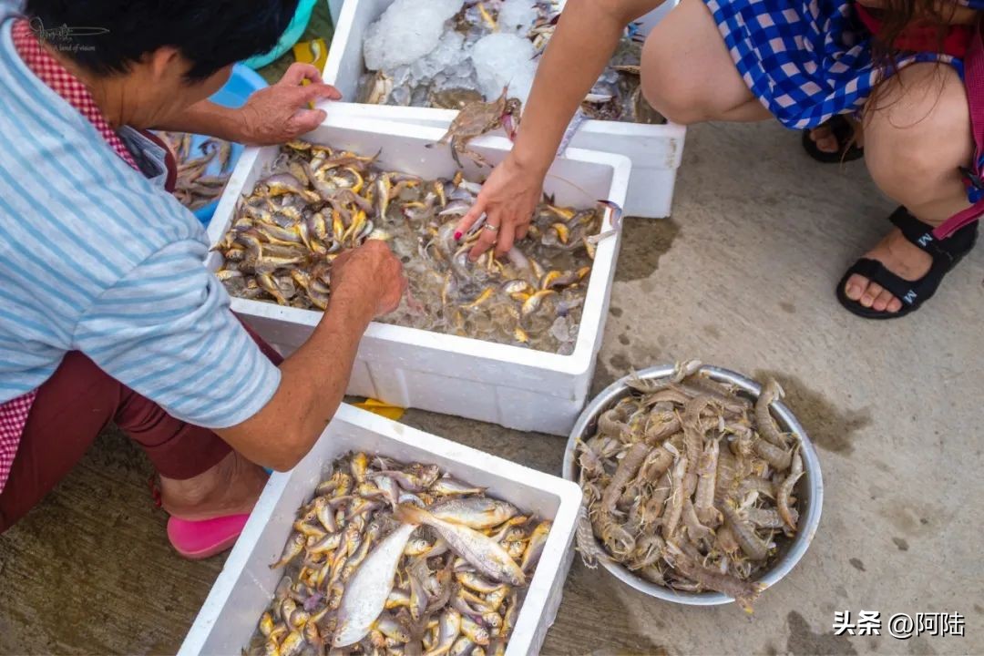 去舟山朱家尖住哪里方便,自驾游到舟山朱家尖怎么安排住宿