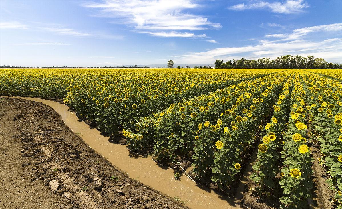 美国实力最大的州是哪一个,美国是50个州还是51个州