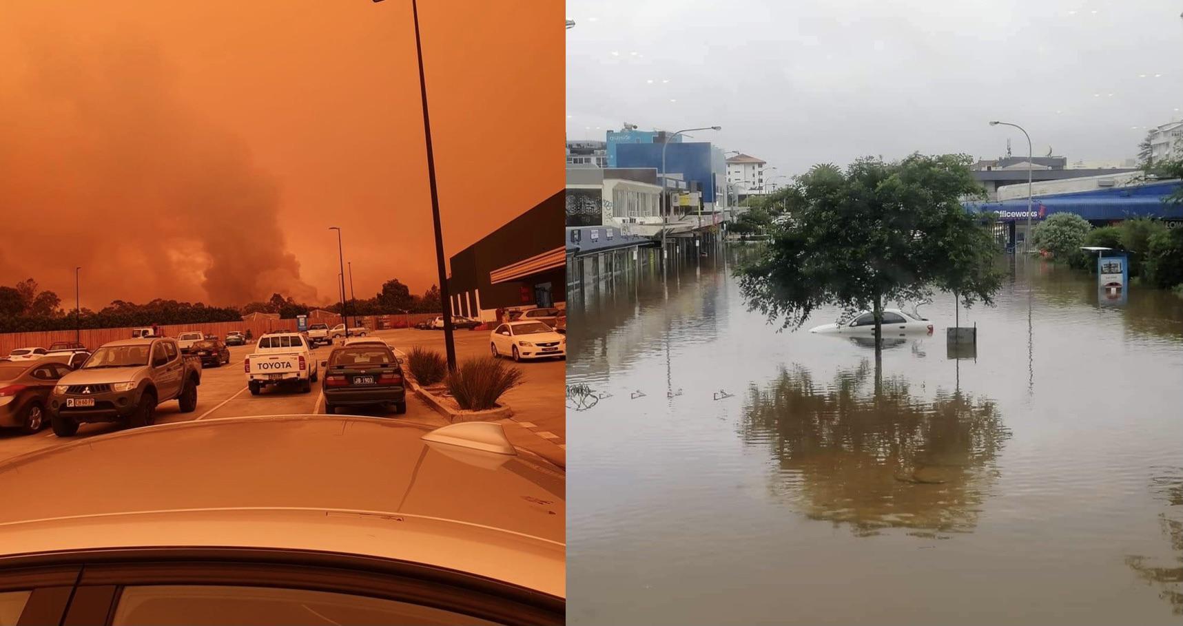 在澳大利亚你可以发现什么,澳大利亚到处能看到动物