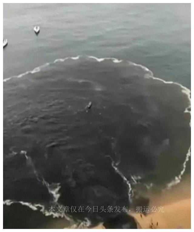 涓嶅彈鏃ユ湰鏍稿簾姘存薄鏌撶殑鍦版柟,鎷掔粷鏍告薄鏌撳湴鐞冧繚鎶ゆ棩