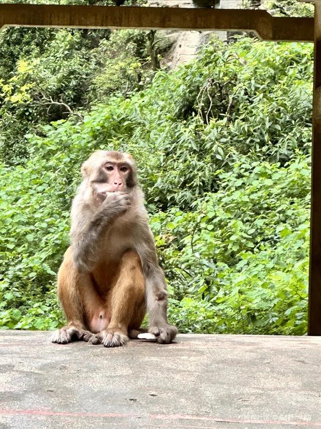 统景温泉视频,统景温泉旅游一日游