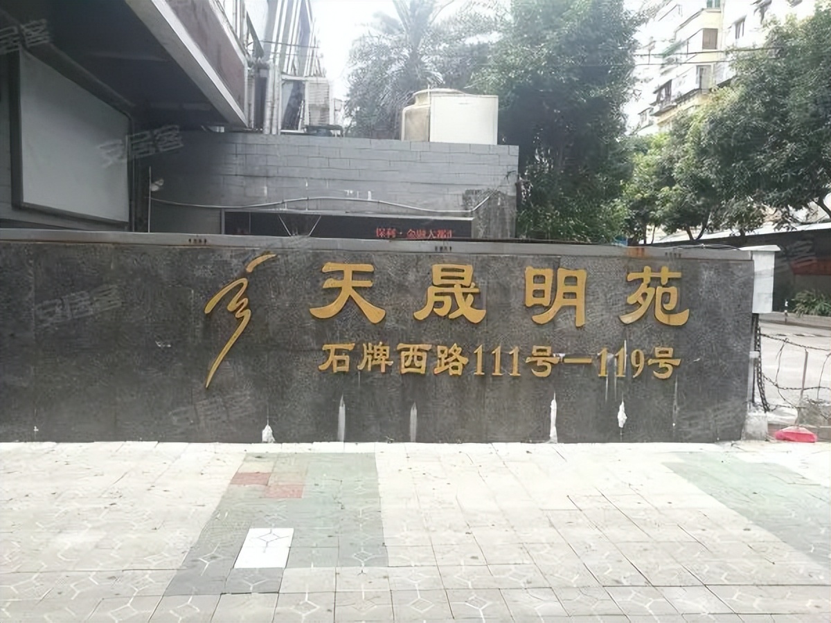 粤剧、醒狮、武术、科技……TA有39个宝藏社团？