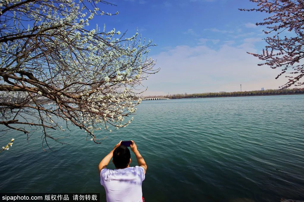 不负春光解锁春日美景打卡点,不负春光解锁春日美景攻略