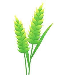 中润资本有前途吗,中润资本有什么特性