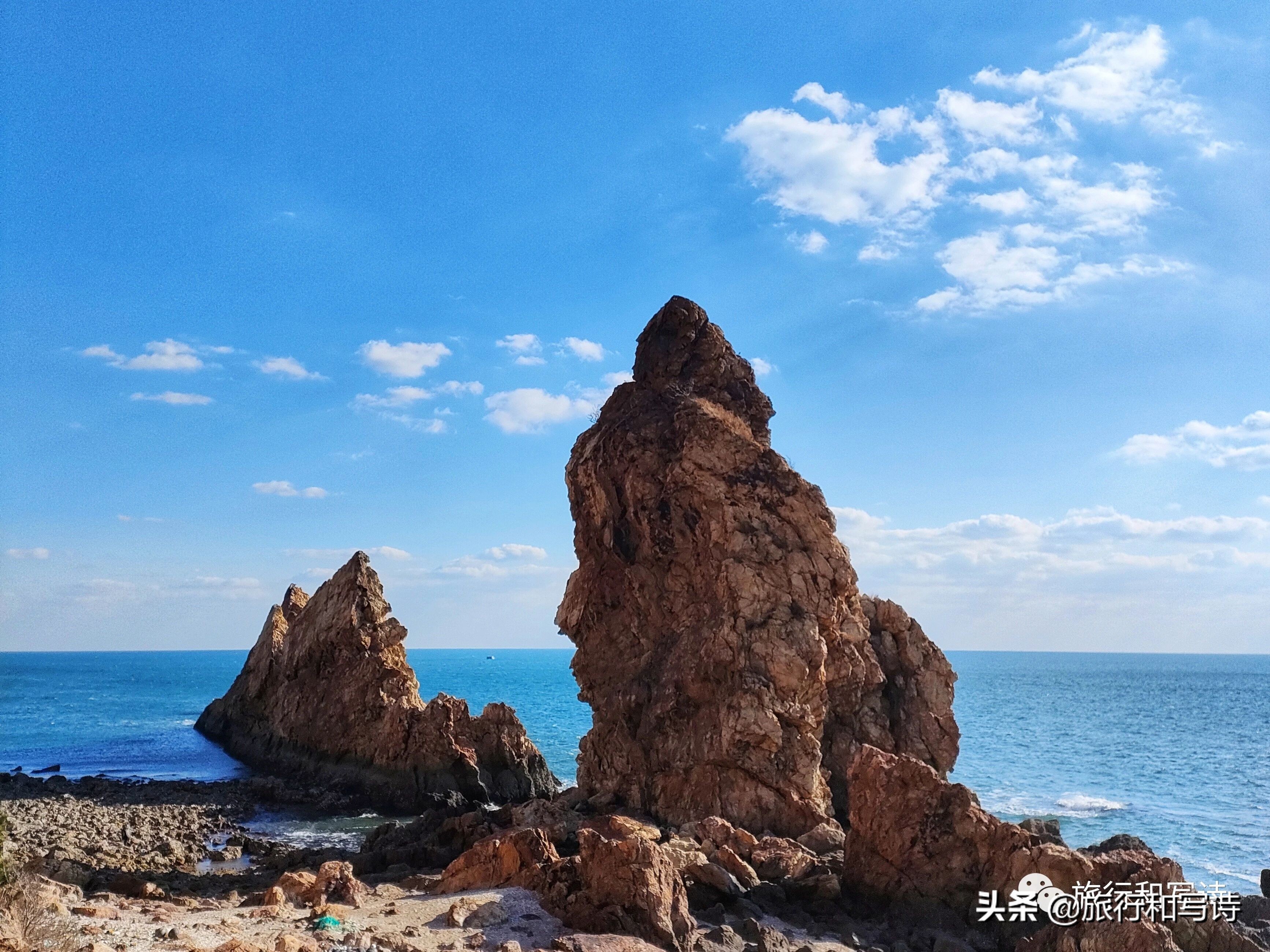 大连的一场寻“燕”之旅