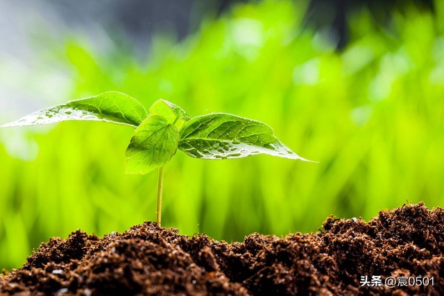 女儿小时候婆婆给捏奶核她不让,如今后悔:外孙连母乳都吃不上