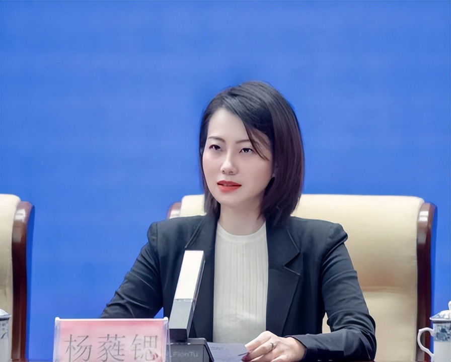 海南免税城离岛免税,海南离岛狂欢