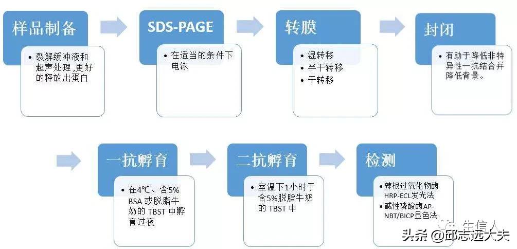 单细胞测序干湿结合,单细胞测序数据分析教程