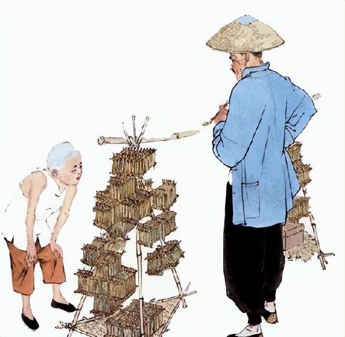 养猫养狗都养不活,养狗养猫养蜘蛛