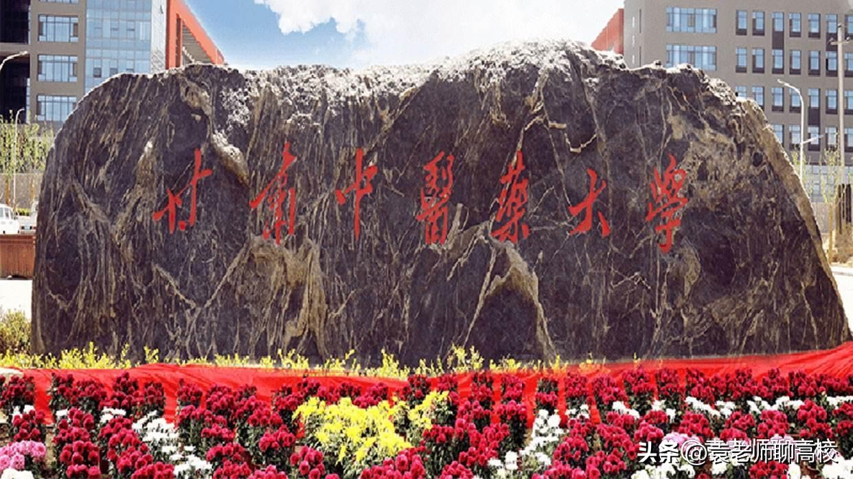 西北双一流医学大学,西北地区的双一流学校