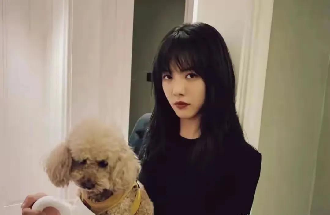 蔡文静芒果台电视剧,蔡文静跟芒果台什么关系