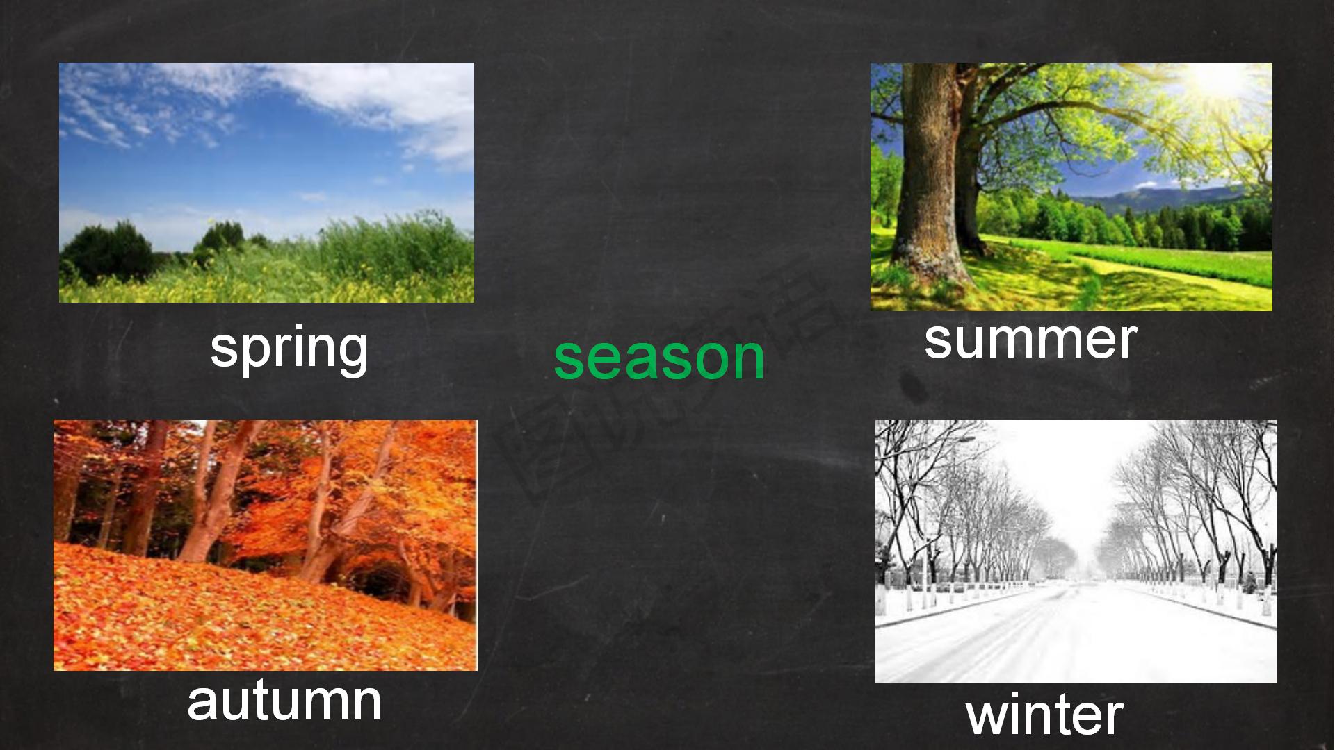 新概念英语ppt,新概念英语四第39课ppt