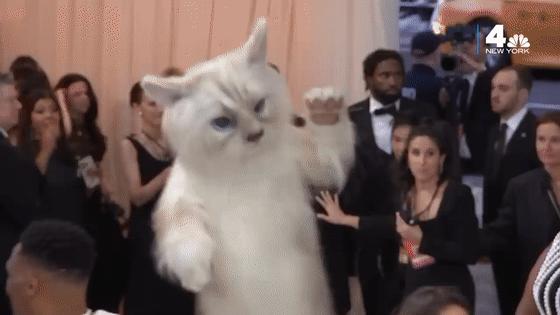 metgala绾㈡2022,metgala绾㈡2021