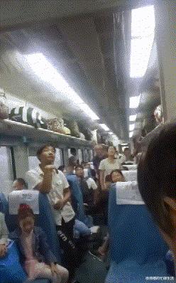 学生适合在宿舍里养的小宠物,在宿舍偷偷养的小宠物