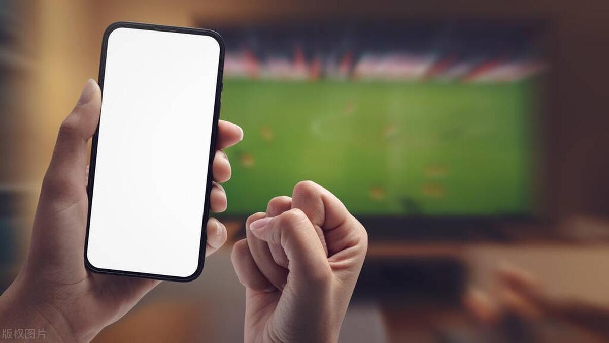 体育直播app开发,体育直播app开发需要多少钱