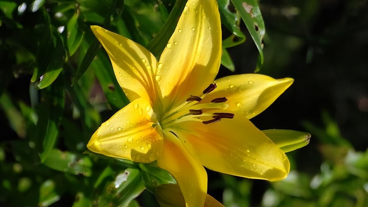 更年期女性全身疼吃什么调理最快,四类食物调节女性更年期的坏脾气