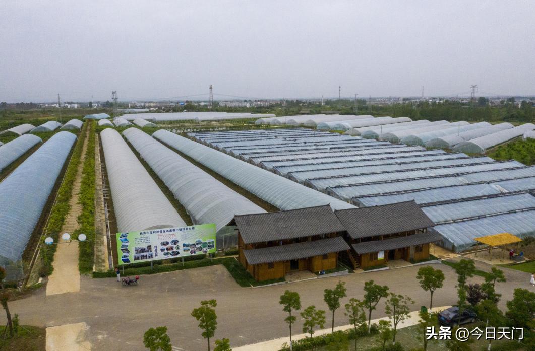 天门旅游攻略一日游,天门海龙岛游玩攻略