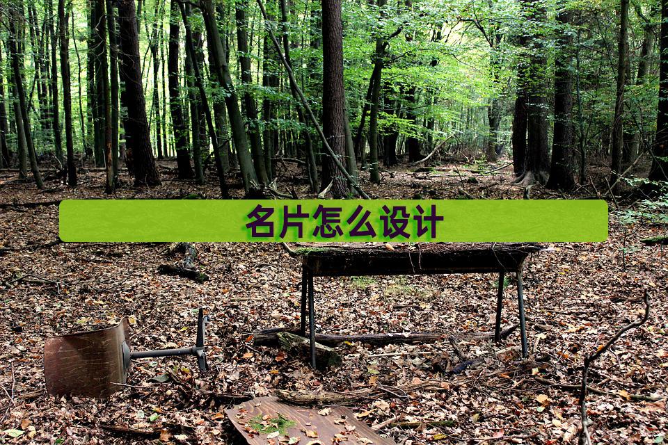 名片怎么设计制作,名片logo图案设计