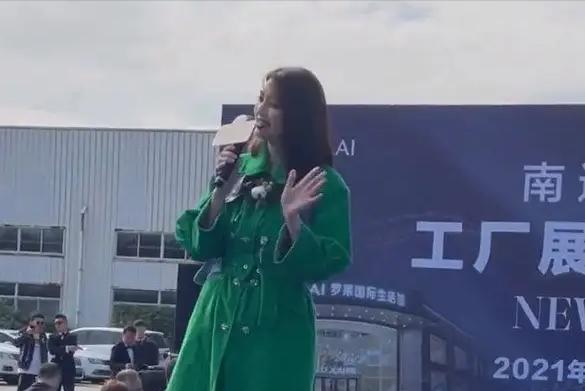 洪欣刚出道,洪欣在娱乐圈地位