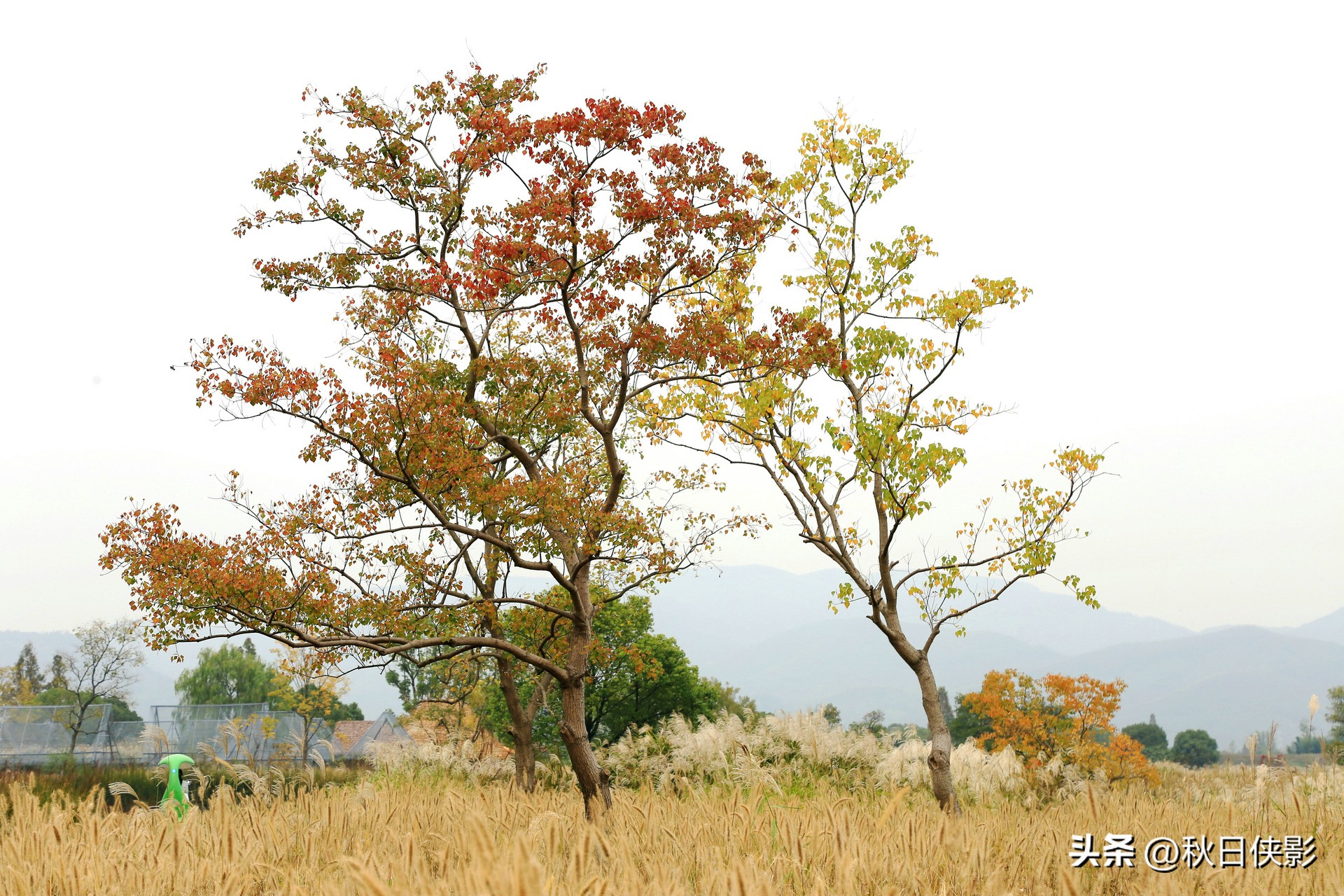 杭州周边秋日赏景好去处,杭州周边当季旅游景点推荐