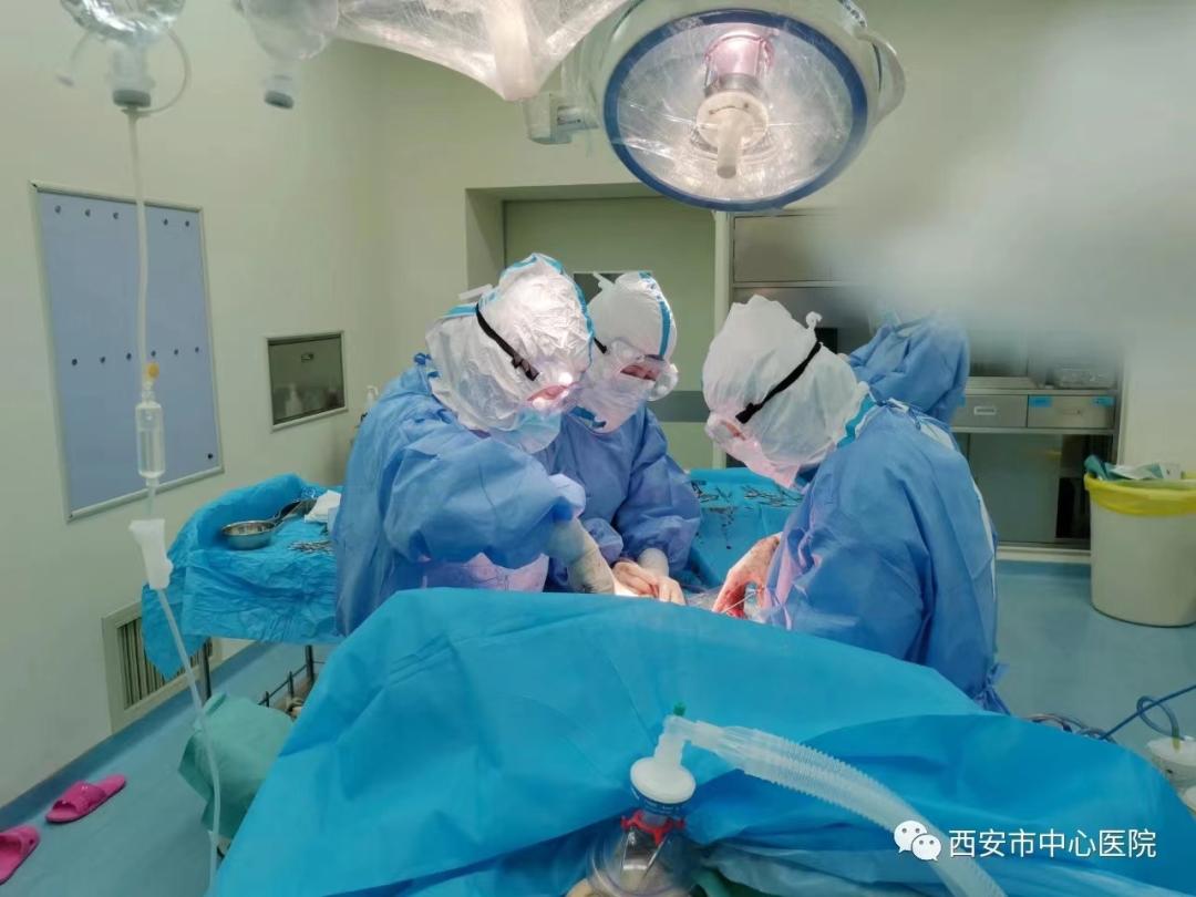 瀵绘壘鍘嗗彶鏂囧寲浼犳壙,杩藉鍘嗗彶瓒宠抗浼犳壙绾㈣壊鍩哄洜