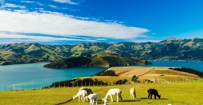 她姓奥,叫克兰,跟乌克兰撞衫了