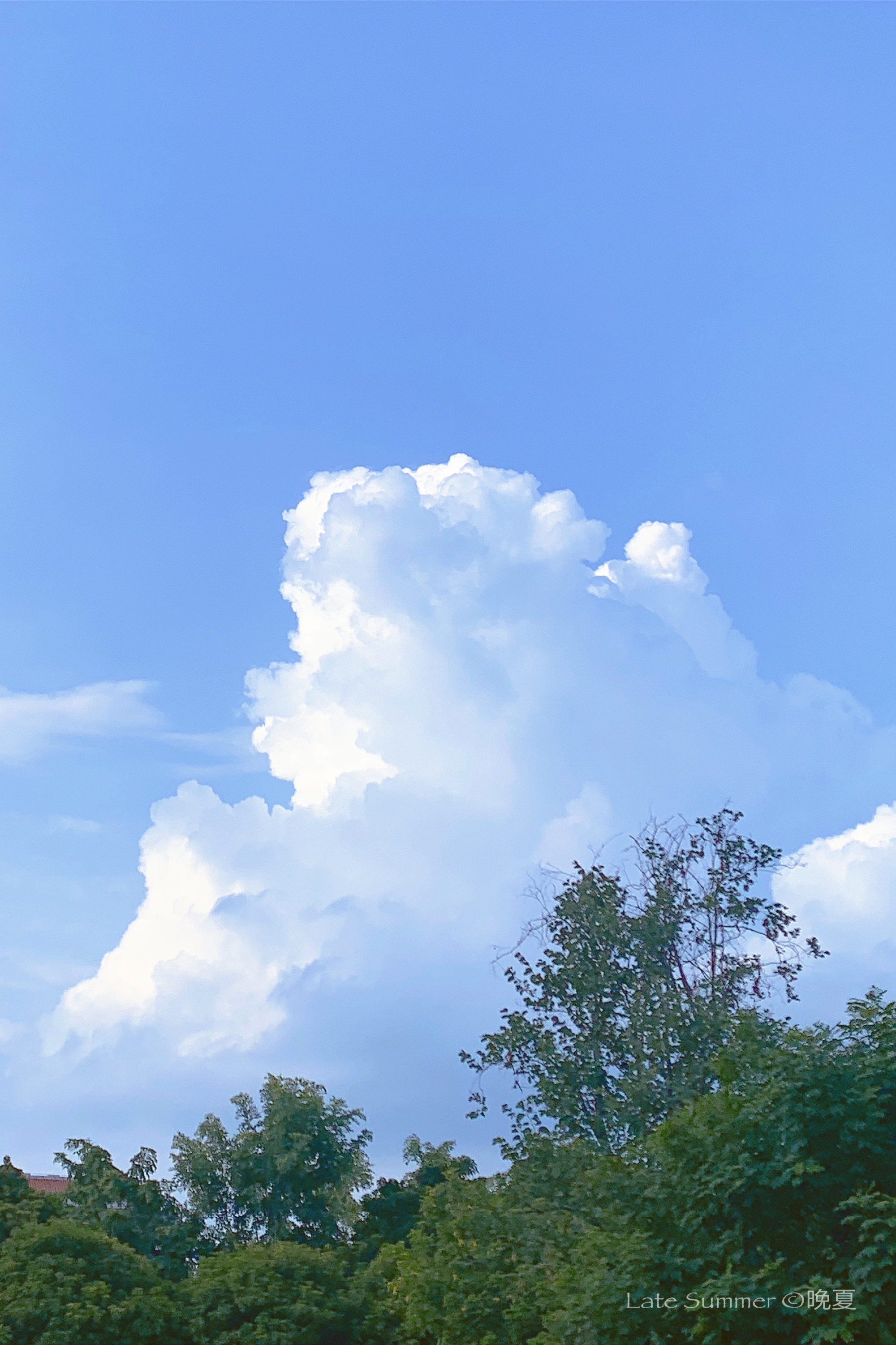 朋友圈最养眼的高级感文案,文艺优美的朋友圈文案简短