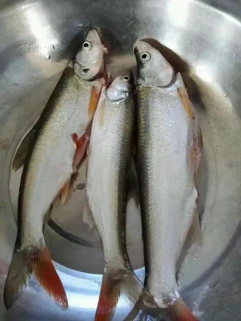 苏州漕湖琉苏酒店,苏州漕湖青年公寓