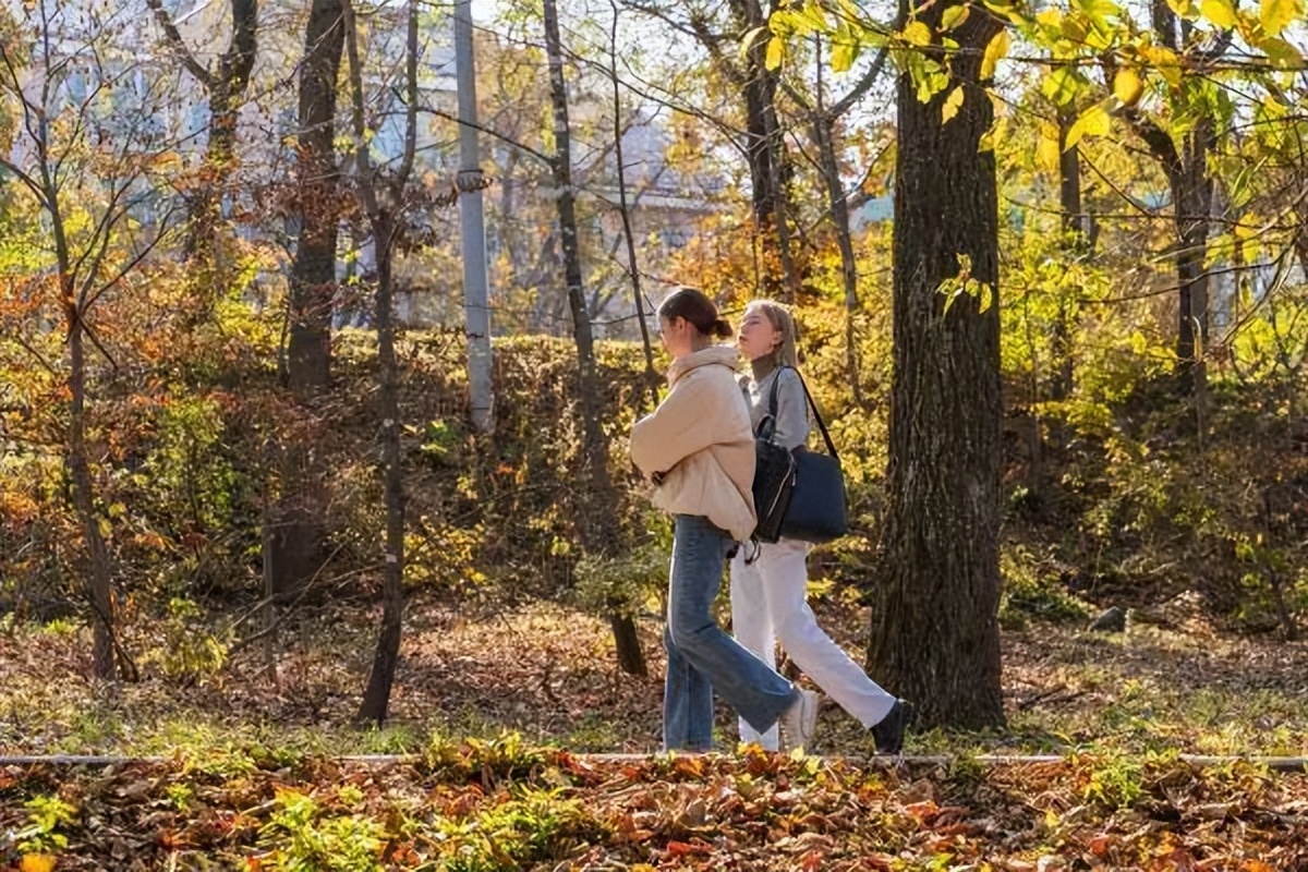 中国运动品牌2023半年营收,中国运动品牌发展前景