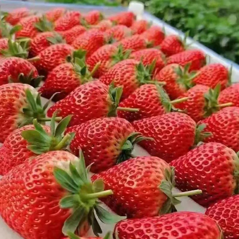 丹东附近的避暑好地方,丹东出去避暑自驾游3-4天最佳路线