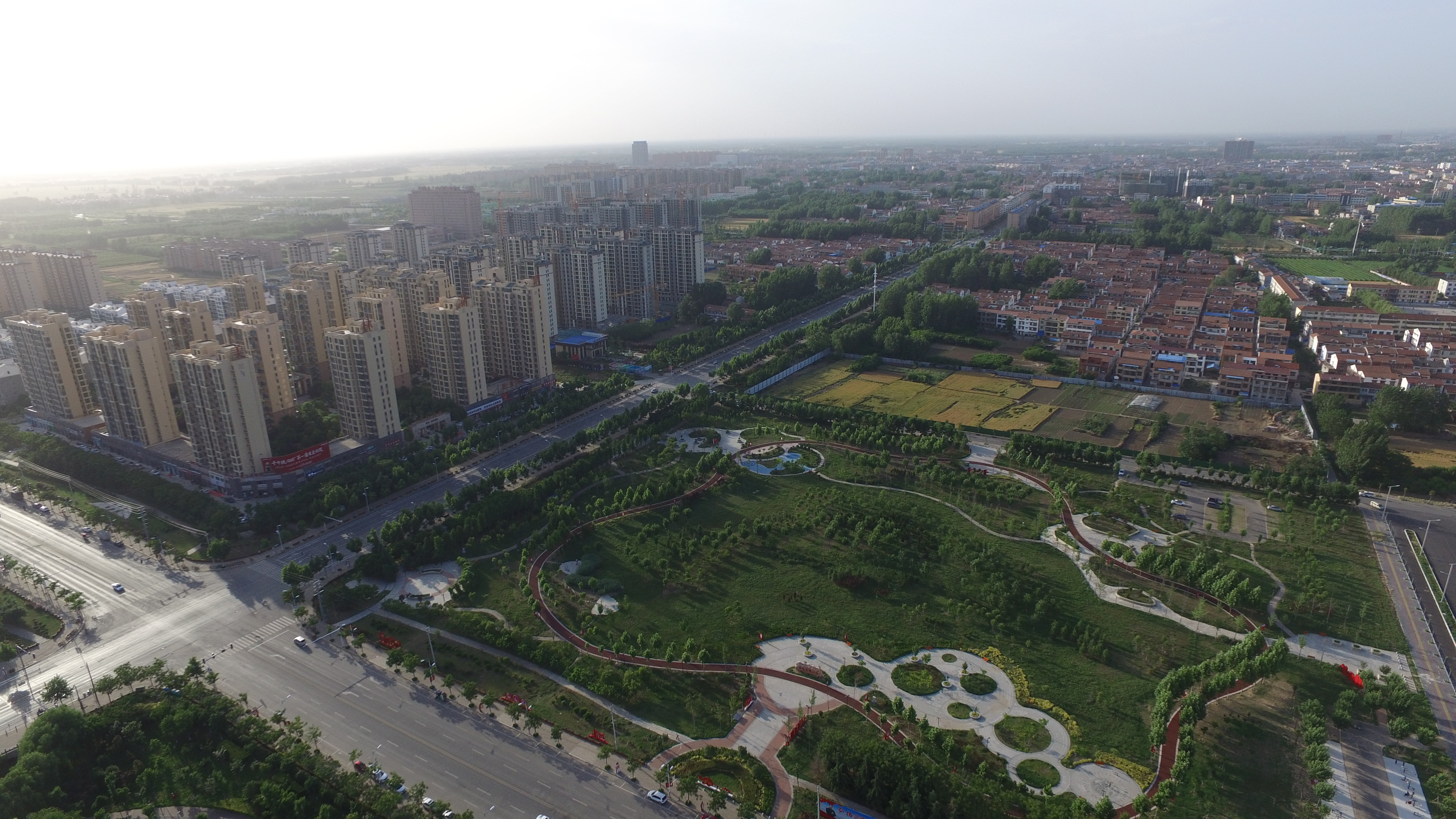 扶沟：“中原菜都”的乡村振兴富民曲