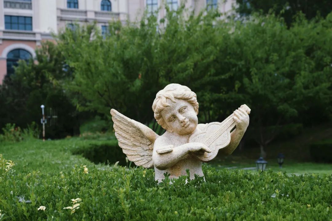 来大连住这里,每天都是海景富翁