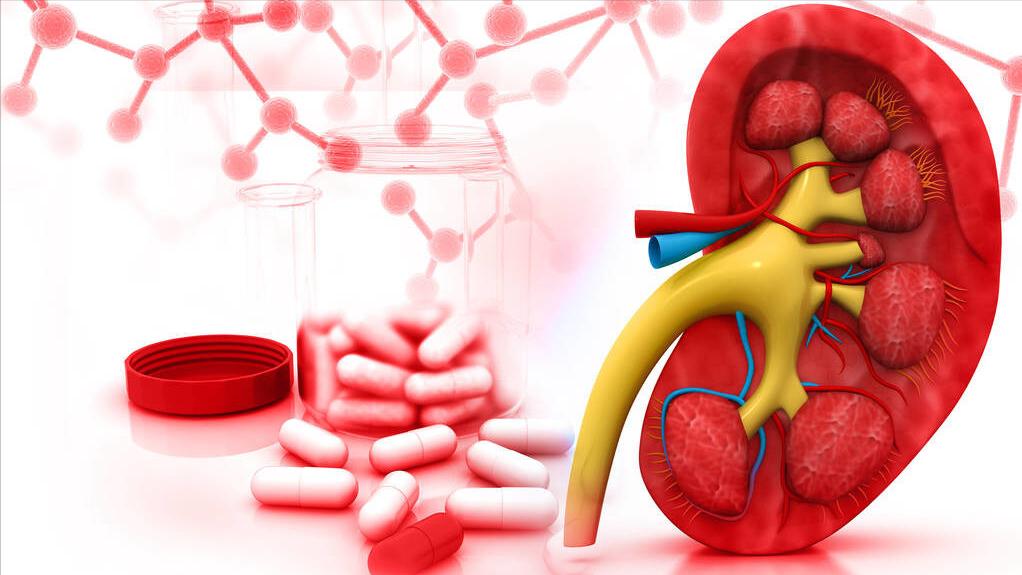 肾脏发出的预警信号你读懂了吗,肾的预警信号