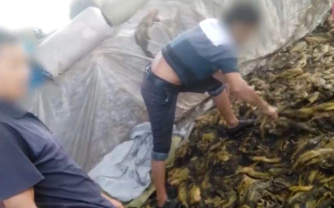 邓伦两次改正机会都没要？315成咸菜鉴定场所？9500万买粪水房？