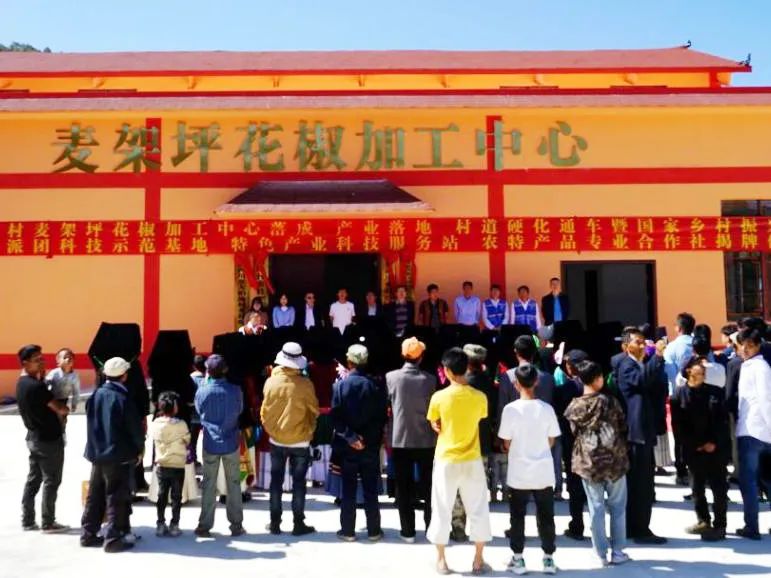 首批乡村振兴驻村工作队,驻村帮扶队积极谋划产业项目